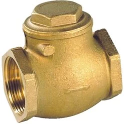 SFERACO SNC Clapet à Battant Simple Laiton/garniture Caoutchouc - FF 50x60