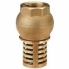Clapet Anti-retour - Clapet Crépine Laiton 1'' De Centrocom -Promos Raccord d'arrosage Magasin 3263492 1