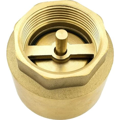 AOUGO Clapet Anti-retour De 1 Pouce En Laiton Robuste De Haute Qualité, Antirouille Et étanche Pour Pompe, Fontaine, Machine à Laver, Jardin, Mégots De Pluie, Baril 7 AOUGO Clapet Anti-retour De 1 Pouce En Laiton Robuste De Haute Qualité, Antirouille Et étanche Pour Pompe, Fontaine, Machine à Laver, Jardin, Mégots De Pluie, Baril – Image 5
